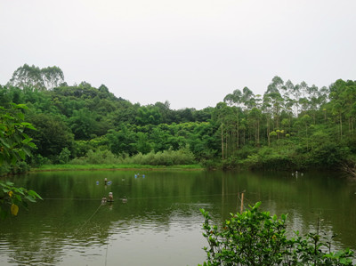 籍田镇铧炉村女娲庙与高石梯遗址远景_副本.jpg